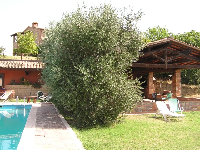 IL CASOLARE