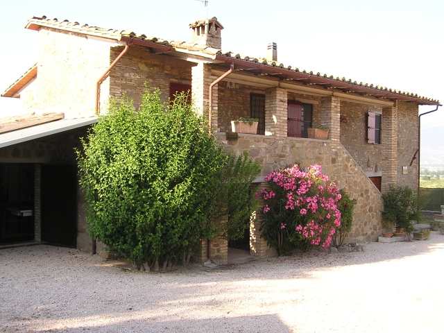 La scheda dell'offerta
